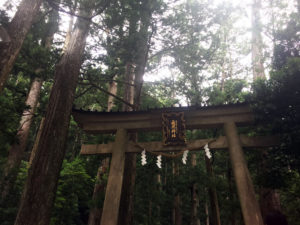 Torii to Hirou Shrine and Nachi Falls