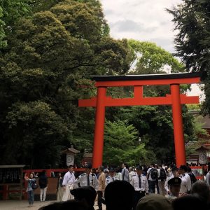 Shimogami Shrine's torii