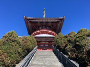 Front of the Great Peace Pagoda