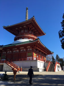 Side of the Great Peace Pagoda