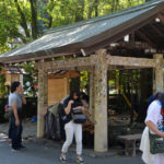 Sarutahiko Shrine Temizuya