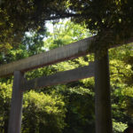 Torii with trees