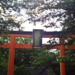 Hirano Shrine Torii