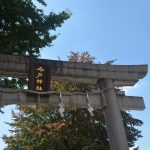 Torii