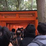 Crowds walking through the red gates of Fushimi Inari Shrine