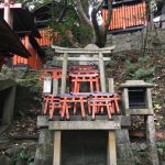 Many small red torii at Fushimi Inari Shrine