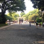 Torii for Meiji Shrine