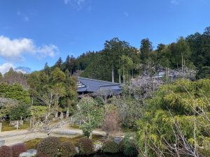 The view of the Jikko-in building