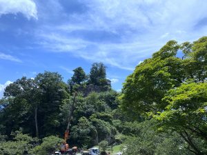 Naegi_Castle_Ruins_06