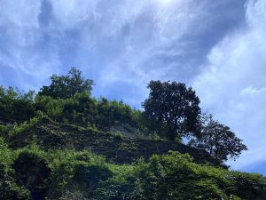 Naegi_Castle_Ruins_08