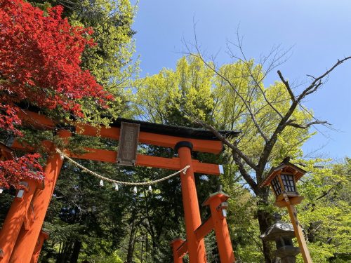 The torii to Arakura Fuji Sengen Shrine